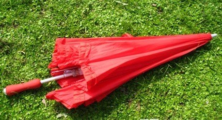 Red Heart Umbrella