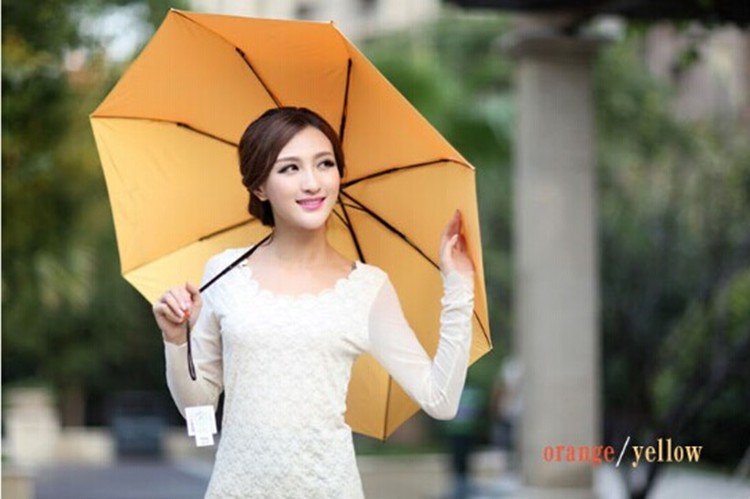 Fashion 3 Folding Umbrella
